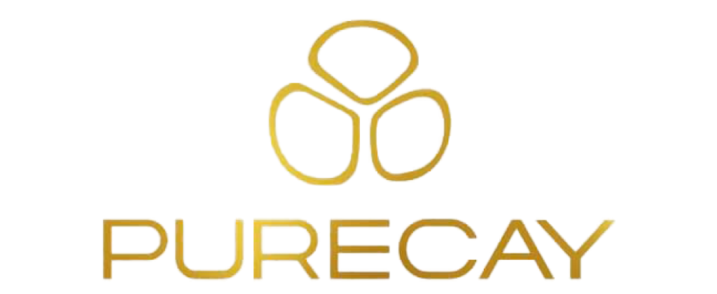 LOGOpurecay 2